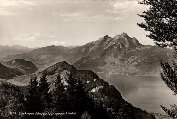 Blick vom Bürgenstock gegen Rigi. Vorderseite