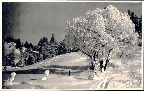 Winter in der Schweiz Vorderseite
