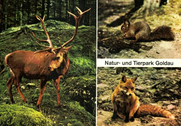 Natur- und Tierpark Goldau Vorderseite