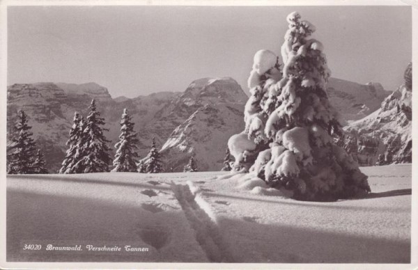 Verschneite Tannen, Braunwald Vorderseite