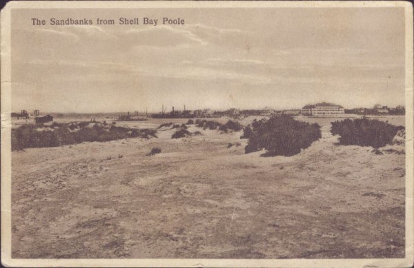 Shell Bay Poole
