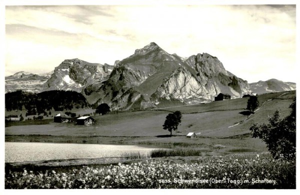Schwendisee m. Schafberg Vorderseite