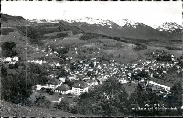 Wald  Vorderseite