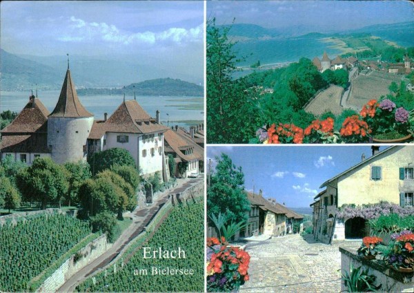 Erlach  Vorderseite