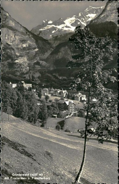 Grindelwald mit Finsteraar- und Fiescherhorn Vorderseite