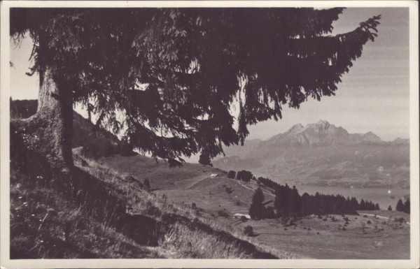 Rigi-Seebodenalp