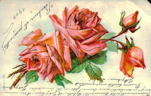 Rosenzweig Vorderseite