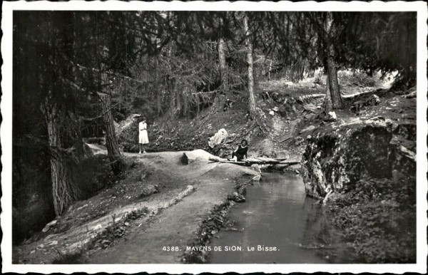 Mayens de Sion/Le Bisse Vorderseite