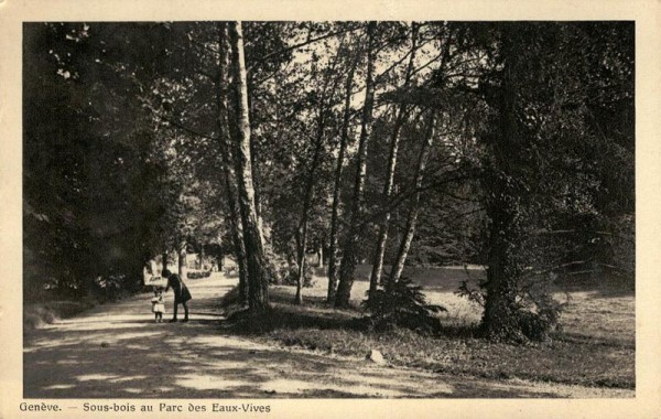 Genève, Sous-bois au Parc des Eaux-Vives Vorderseite