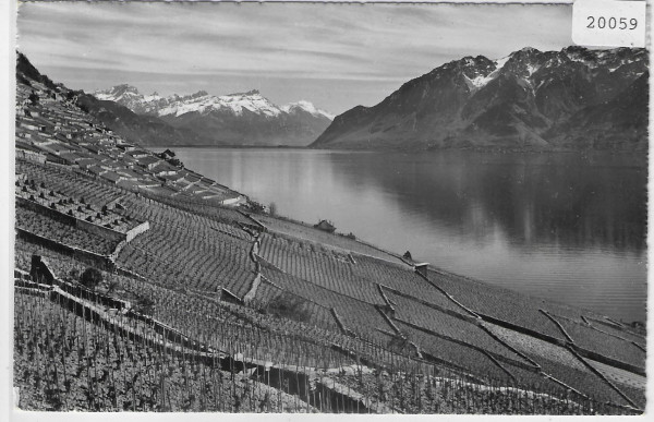 Le Coteau de Lavaux