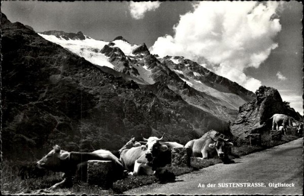 Sustenpass Vorderseite
