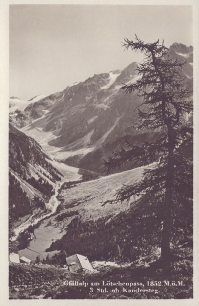 Gfällalp am Lötschenpass