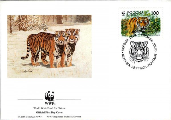 Sibirischer Tiger Vorderseite