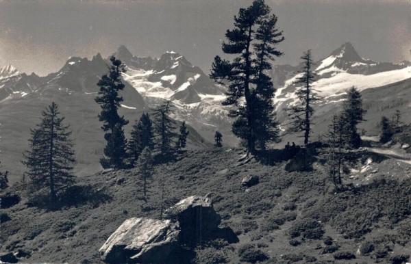 Blick aus dem Arvenwald der Riffelalp ob Zermatt auf Obergabelhorn, Wellenkuppe und Zinalrothorn Vorderseite