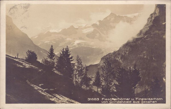 Fiescherhörner und Finsteraahorn von Grindelwald aus gesehen