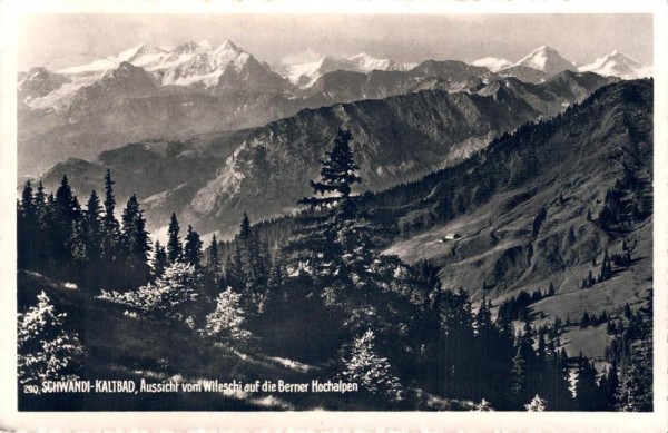 Schwandi-Kaltbad, Aussicht von Wileschi auf die Berner Hochalpen, (Schwendi) Vorderseite