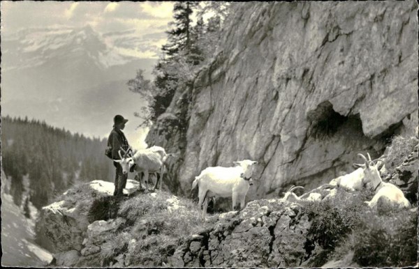 Leysin, le chevrier Vorderseite