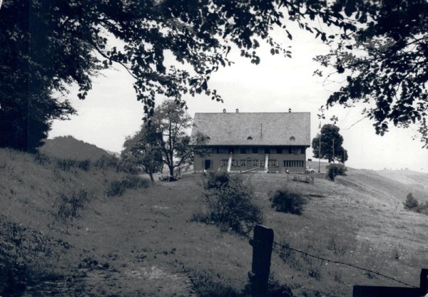 Richterswiler Ferienheim Mistlisbühl, Hütten Vorderseite