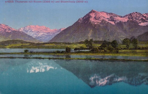 Thunersee mit Niesen und Blüemlisalp Vorderseite