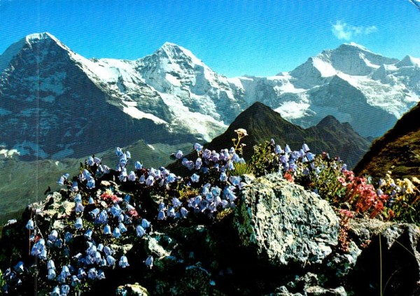 Eiger, Mönch und Jungfrau Vorderseite