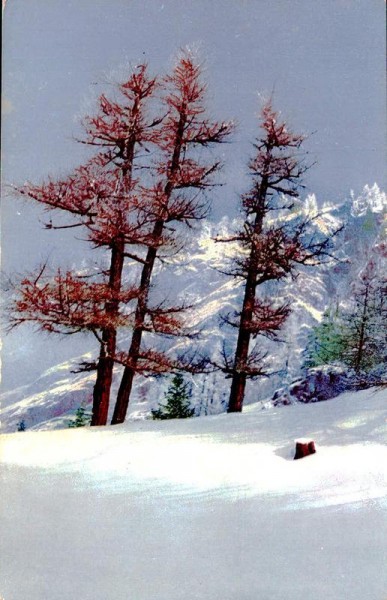 Schweizer Berglandschaft Vorderseite