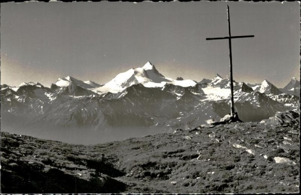 Gemmipass Vorderseite