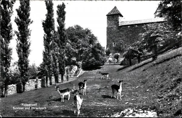 Schloss und Hirschpark (Rapperswil) Vorderseite