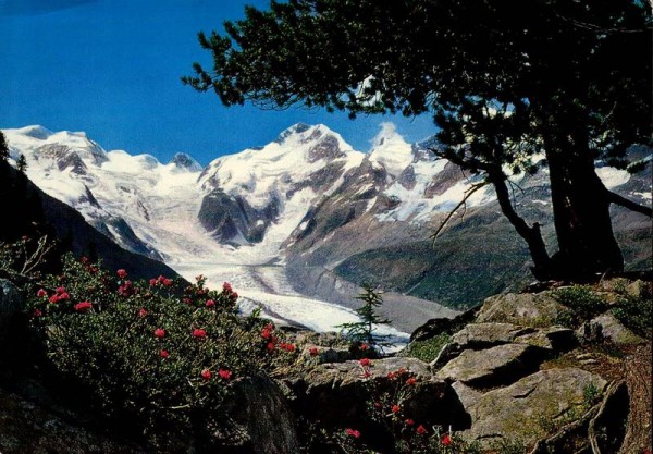 Boval, Piz Bernina mit Morteratschgletscher Vorderseite