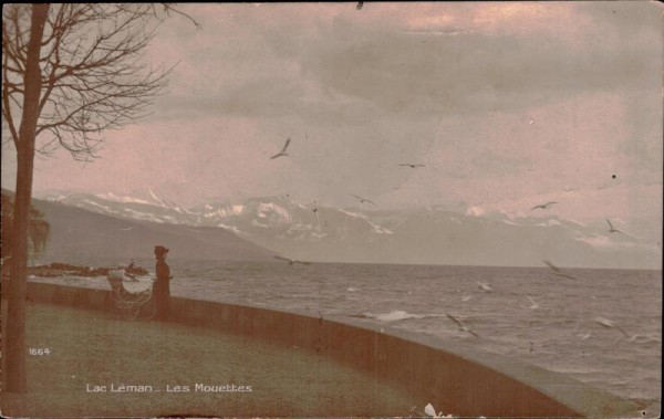 Lac Léman, Les Mouettes Vorderseite