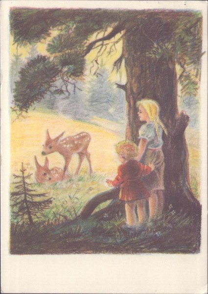 Waldwiese, Klöckler, Pro Juventute Vorderseite