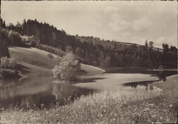 St. Gallen, Wenigerweiher Vorderseite