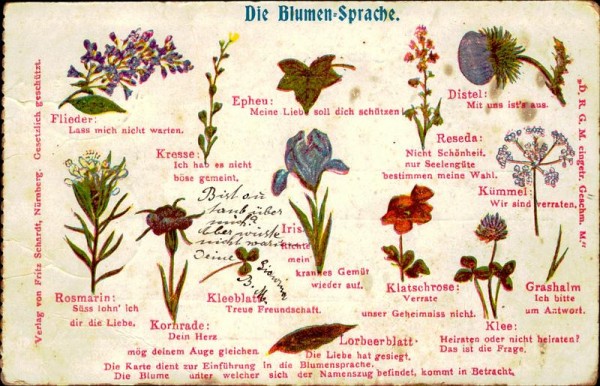 Die Blumen-Sprache Vorderseite