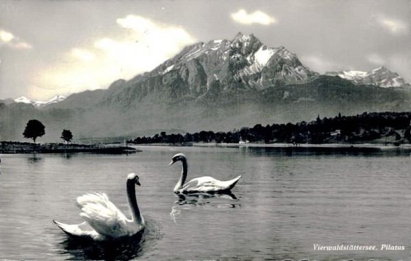 Vierwaldstättersee. Pilatus Vorderseite