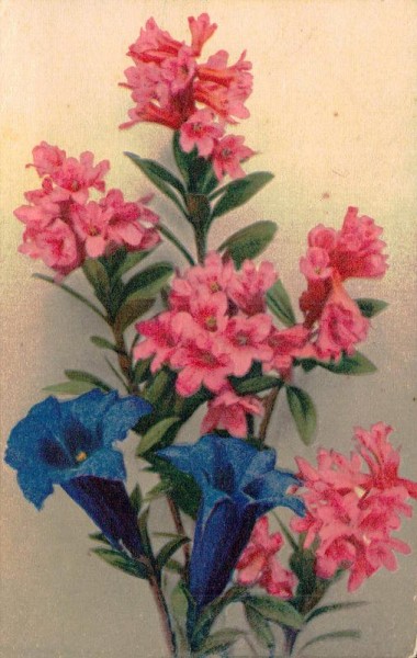 Blumenstrauss - Kartenverlag Zürich Vorderseite