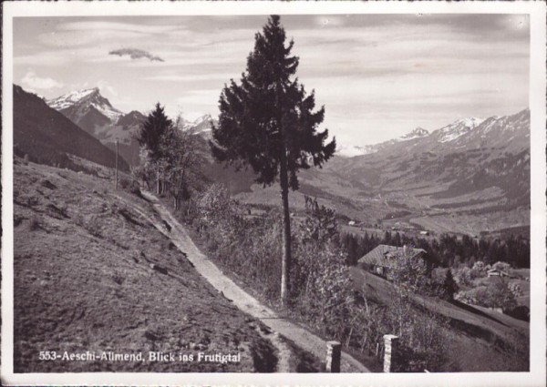 Aeschi-Allmend, Blick ins Frutigtal