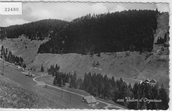 Le Vallon d'Orgevaux s/Les Avants