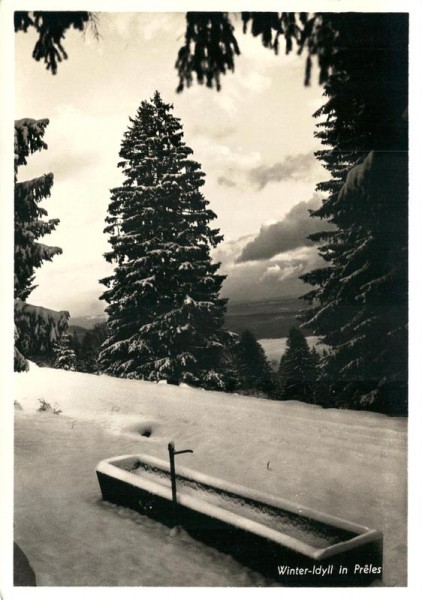 Preles, Winter-Idyll Vorderseite