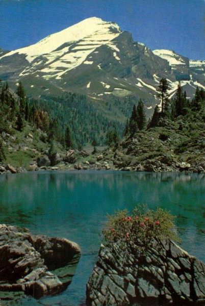 Arvenseeli am Gemmipass Vorderseite