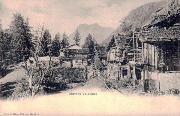 Mayens Valaisans Vorderseite