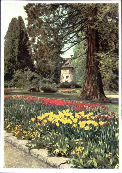 Insel Mainau Vorderseite