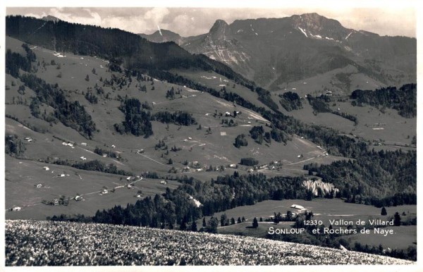Sonloup, Vallon de Villard et Rochers de Naye Vorderseite