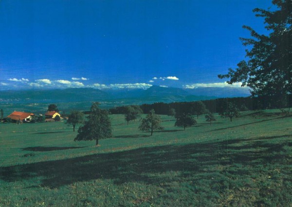 Beinwil-Freiamt, Panorama-Aufnahme bei Alpwirtschaft Horben Vorderseite
