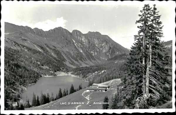 Arnensee Vorderseite