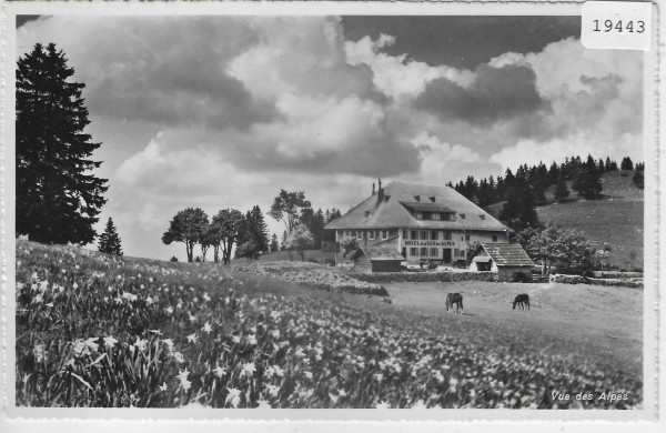 Hotel de la Vue des Alpes