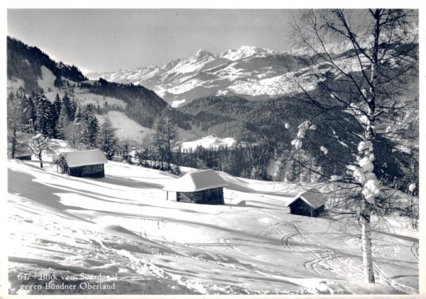 Blick von Scardanal gegen Bündner Oberland Vorderseite