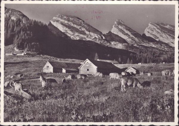 Alp Selamatt mit Churfirsten Vorderseite