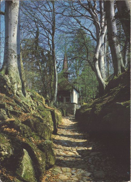 Küssnacht