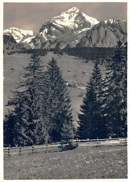 Wildhaus, Hotel Acker mit Schafberg Vorderseite