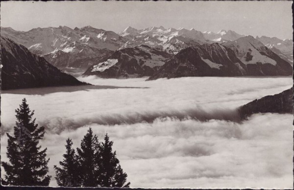 Rigi Nebelmeer