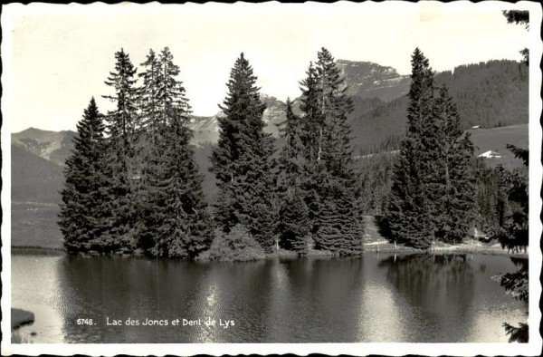 Lac des Joncs Vorderseite